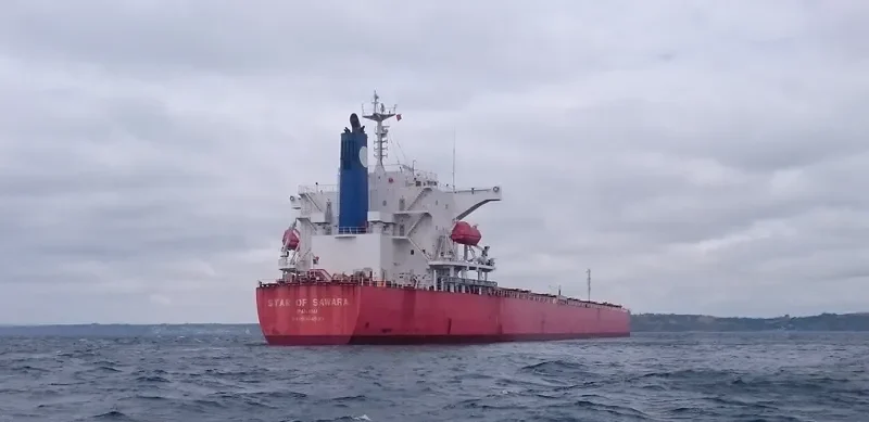 OCEAN BELT Bulk Carrier IMO 9384930 photo 2