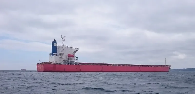 OCEAN BELT Bulk Carrier IMO 9384930 photo 3