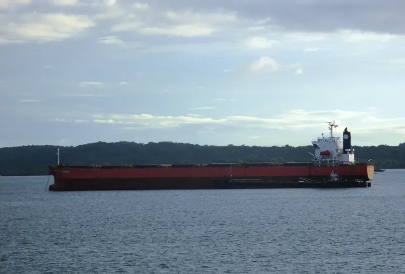 OCEAN BELT Bulk Carrier IMO 9384930 photo 4