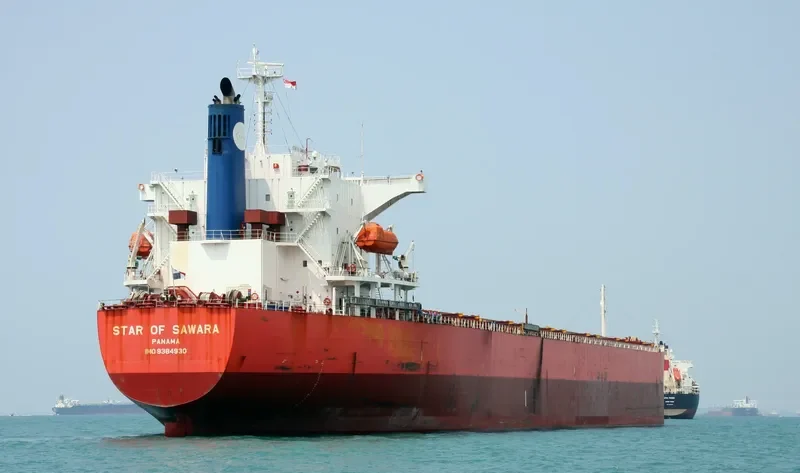 OCEAN BELT Bulk Carrier IMO 9384930 photo 5