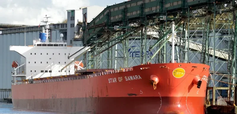 OCEAN BELT Bulk Carrier IMO 9384930 photo 6