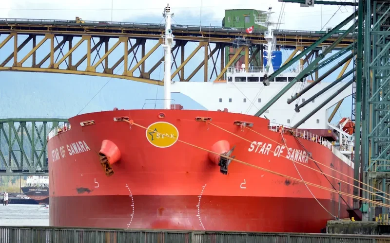 OCEAN BELT Bulk Carrier IMO 9384930 photo 7