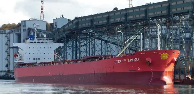 OCEAN BELT Bulk Carrier IMO 9384930 photo 9