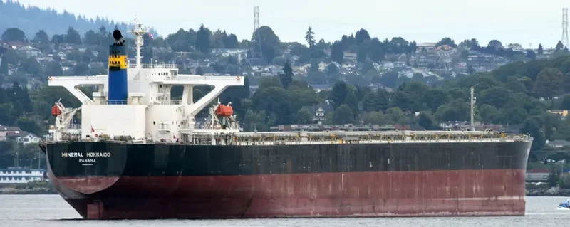 IMPERIAL FORTUNE Bulk Carrier IMO 9384954