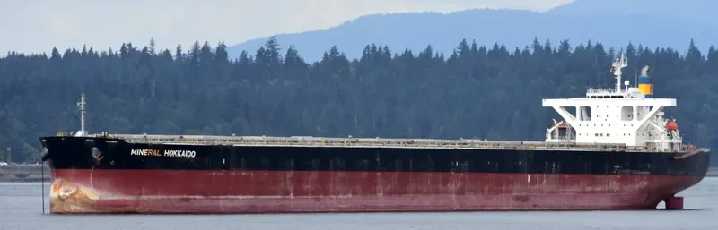 IMPERIAL FORTUNE Bulk Carrier IMO 9384954 photo 2