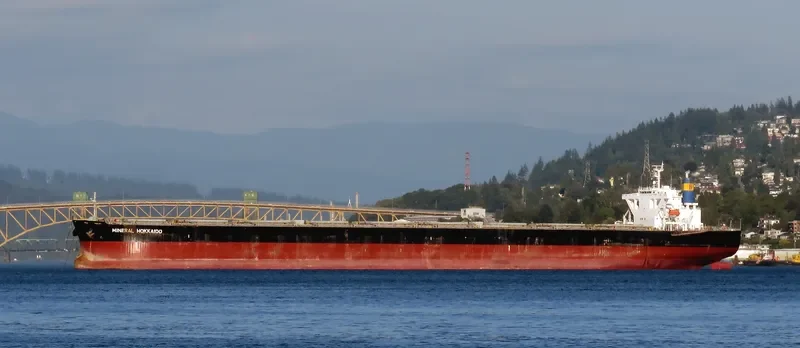 IMPERIAL FORTUNE Bulk Carrier IMO 9384954 photo 3