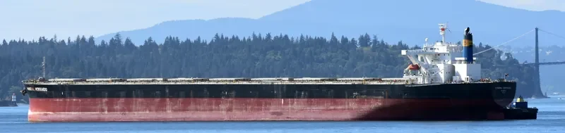 IMPERIAL FORTUNE Bulk Carrier IMO 9384954 photo 5