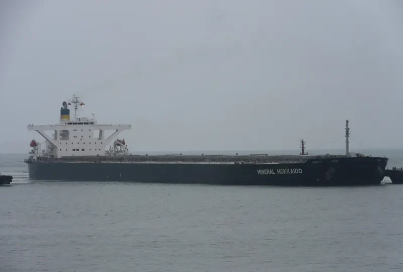 IMPERIAL FORTUNE Bulk Carrier IMO 9384954 photo 7