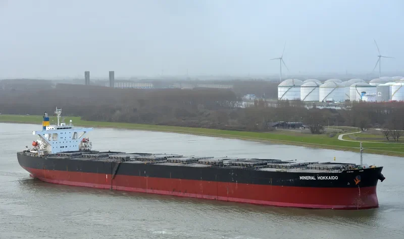IMPERIAL FORTUNE Bulk Carrier IMO 9384954 photo 8