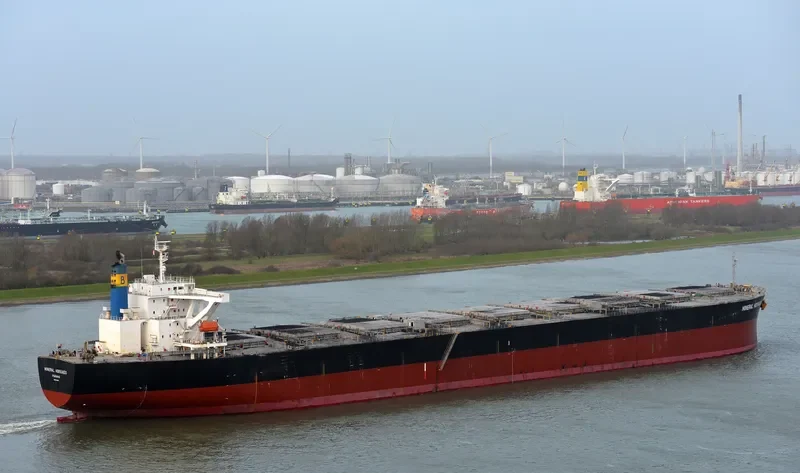 IMPERIAL FORTUNE Bulk Carrier IMO 9384954 photo 10