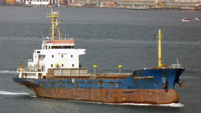 ENKO HASLAMAN General Cargo IMO 9384978 photo 3