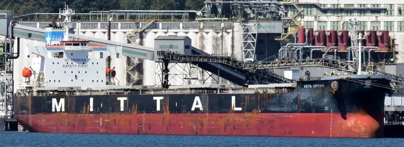 RESTINGA Bulk Carrier IMO 9384980 photo 4
