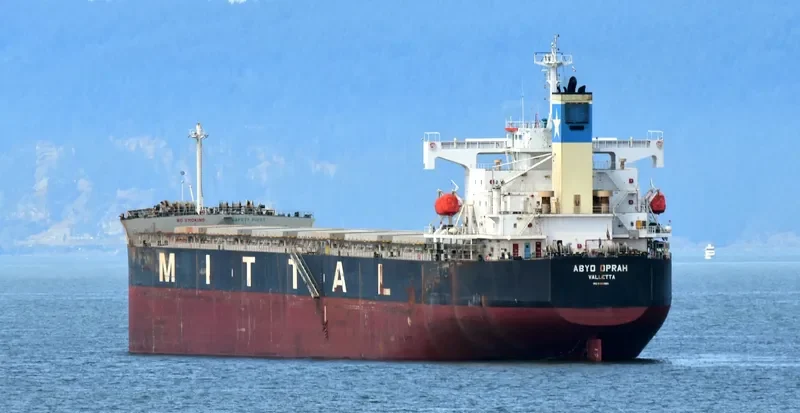 RESTINGA Bulk Carrier IMO 9384980 photo 5