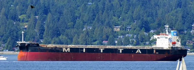 RESTINGA Bulk Carrier IMO 9384980 photo 8