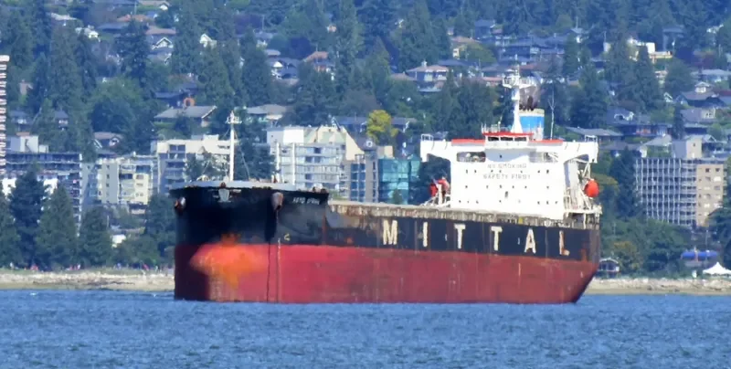 RESTINGA Bulk Carrier IMO 9384980 photo 9