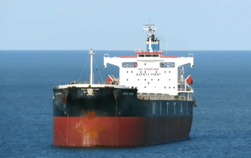 RESTINGA Bulk Carrier IMO 9384980 photo 10