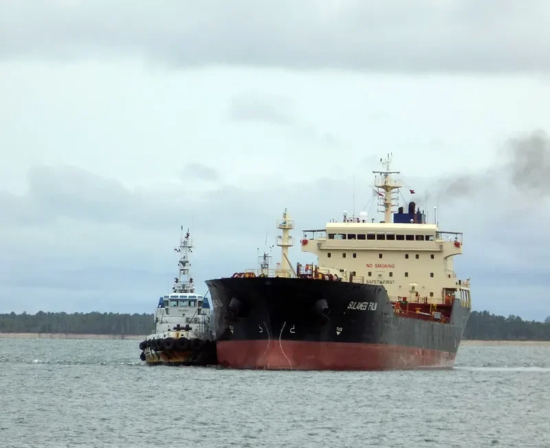SULAWESI PALM Tanker IMO 9385049 photo 2
