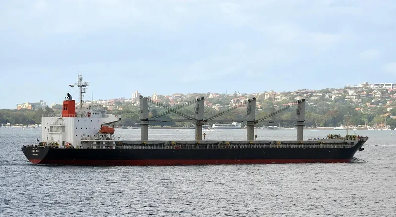 IRMA S General Cargo IMO 9385063 photo 2