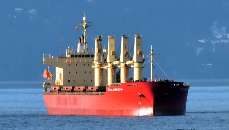 POLA AUGUSTA General Cargo IMO 9385087 photo 4