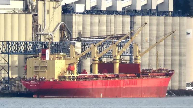 POLA AUGUSTA General Cargo IMO 9385087 photo 6