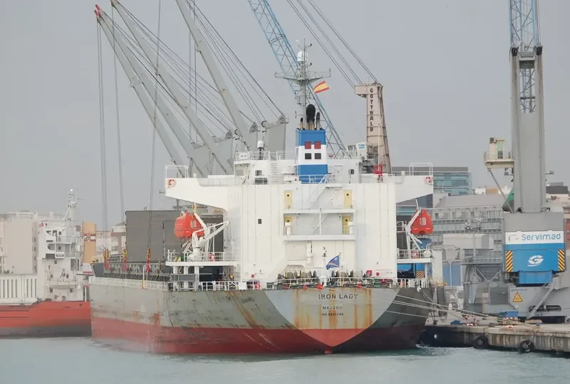 IRON LADY General Cargo IMO 9385099 photo 3
