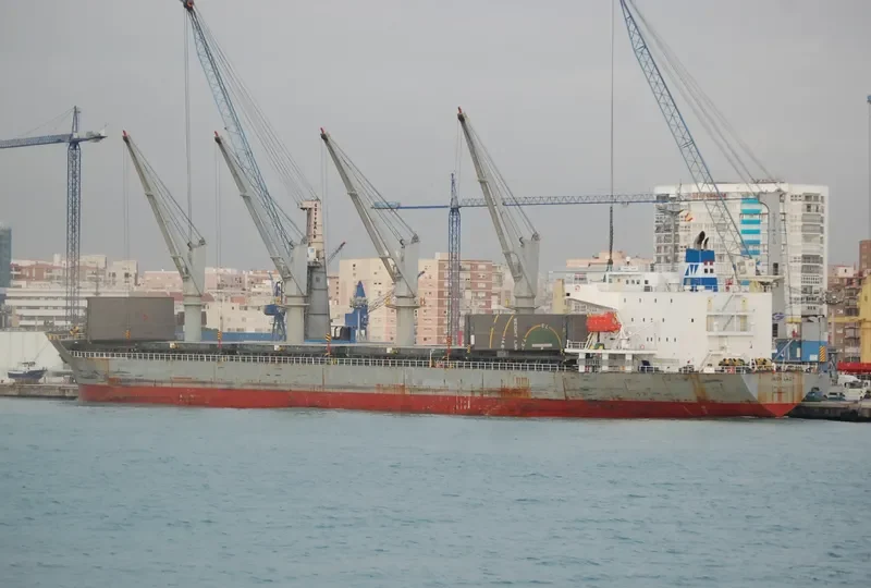 IRON LADY General Cargo IMO 9385099 photo 4