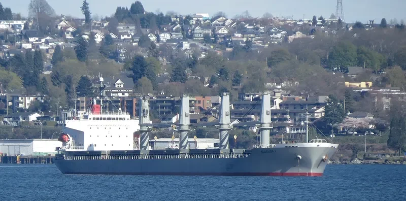 IRON LADY General Cargo IMO 9385099 photo 8