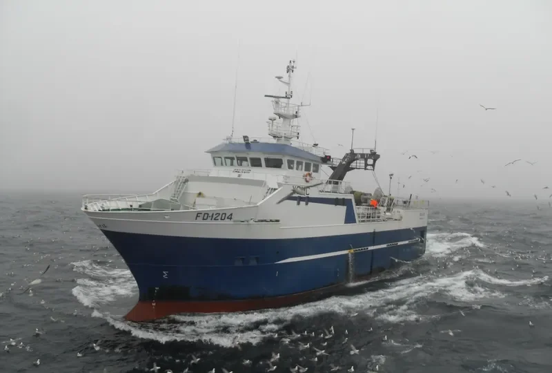 FALKUR General Cargo IMO 9385116