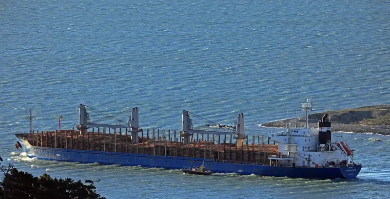 SUPER KATE Bulk Carrier IMO 9385154 photo 10