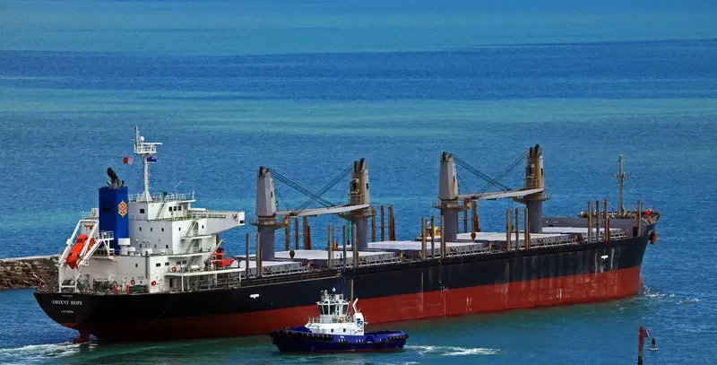 ORIENT HOPE Bulk Carrier IMO 9385166 photo 3