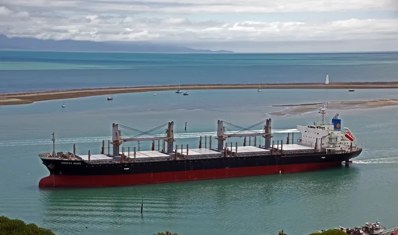 ORIENT HOPE Bulk Carrier IMO 9385166 photo 7