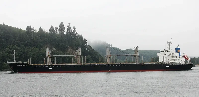 ORIENT HOPE Bulk Carrier IMO 9385166 photo 9