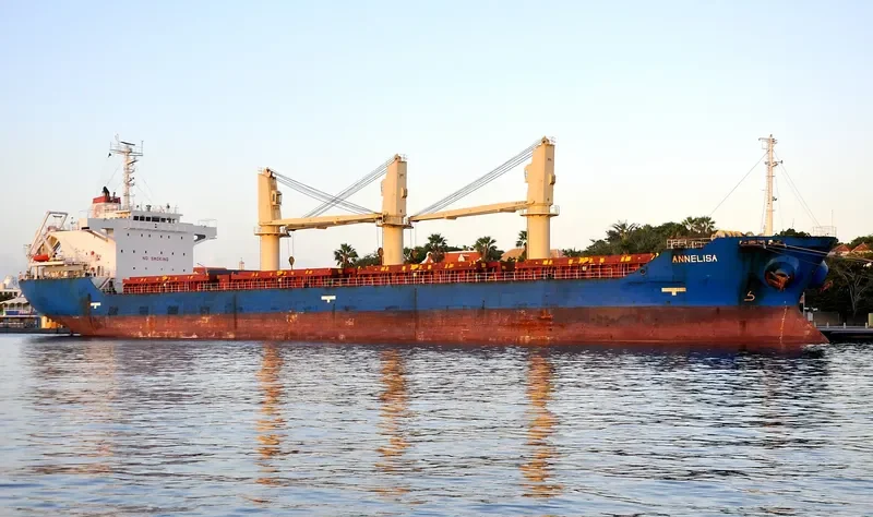 SODA Bulk Carrier IMO 9385221 photo 2
