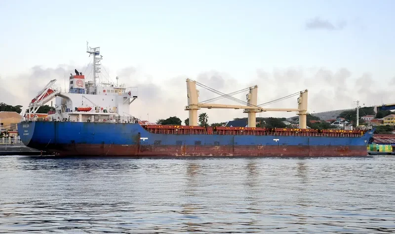 SODA Bulk Carrier IMO 9385221 photo 3