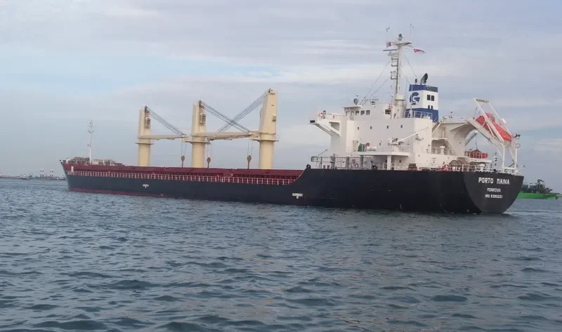 SODA Bulk Carrier IMO 9385221 photo 7