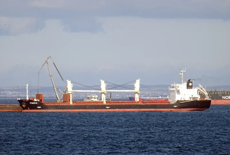 FINIKIA Bulk Carrier IMO 9385233 photo 4