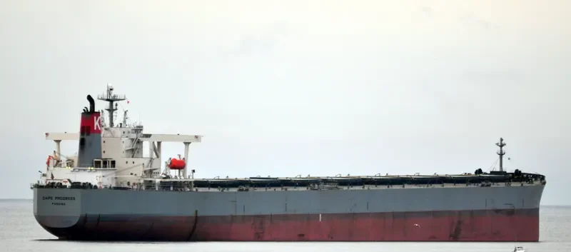 CAPE PROGRESS Bulk Carrier IMO 9385415 photo 2