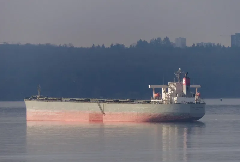 CAPE PROGRESS Bulk Carrier IMO 9385415 photo 4