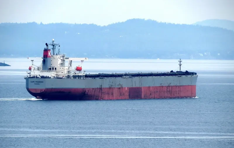 CAPE PROGRESS Bulk Carrier IMO 9385415 photo 5