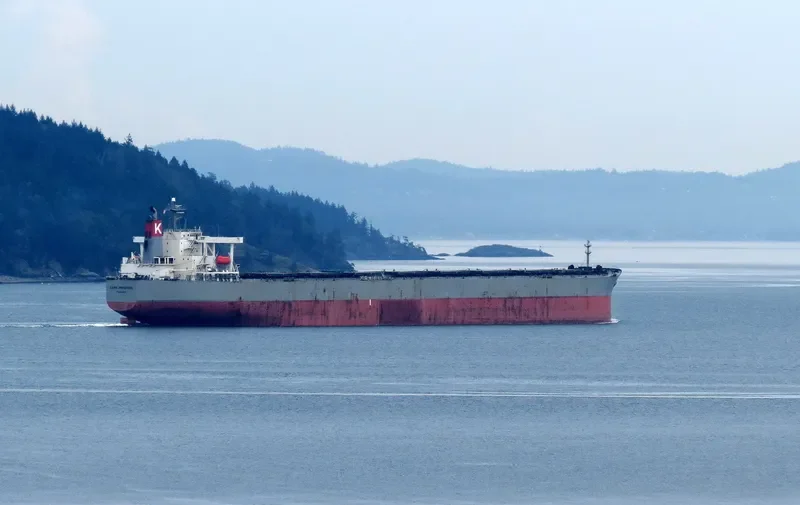 CAPE PROGRESS Bulk Carrier IMO 9385415 photo 6