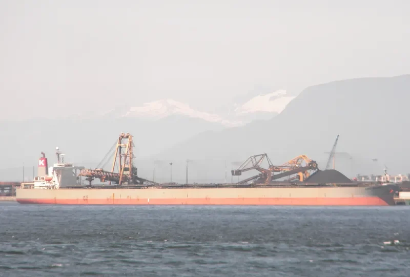 CAPE PROGRESS Bulk Carrier IMO 9385415 photo 10
