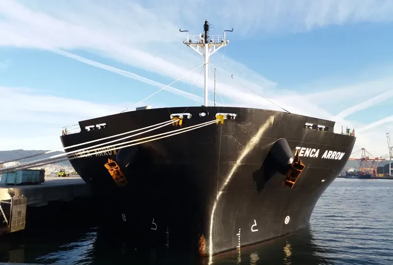 TENCA ARROW General Cargo IMO 9385489 photo 10