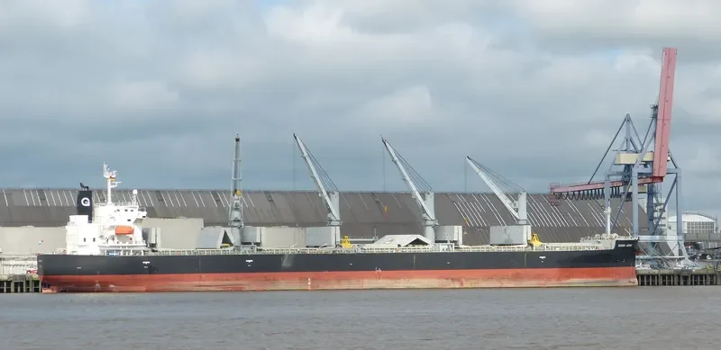 DESTINY Bulk Carrier IMO 9385491 photo 3