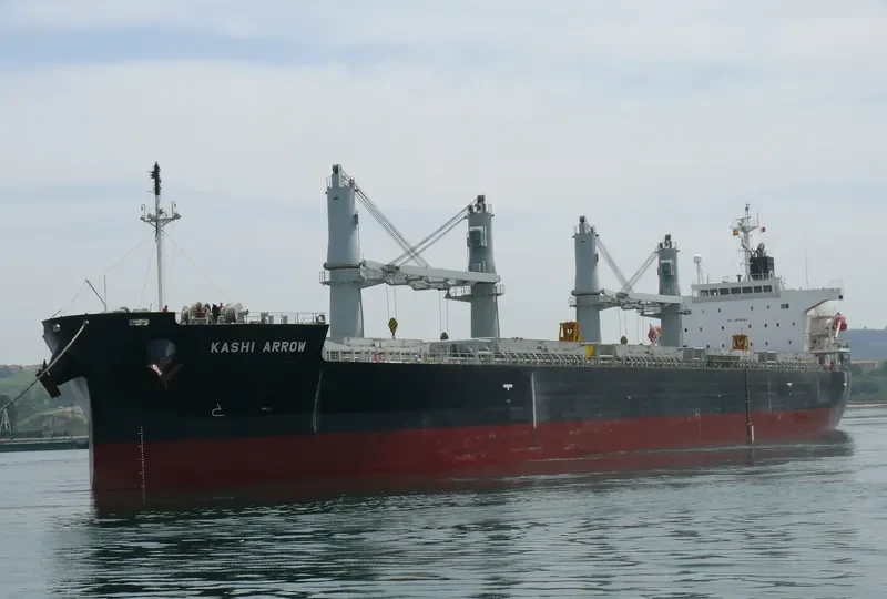 DESTINY Bulk Carrier IMO 9385491 photo 5