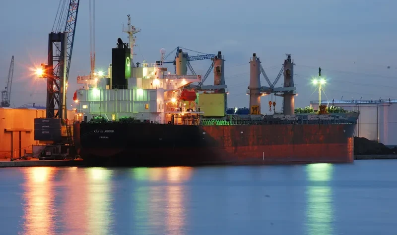 DESTINY Bulk Carrier IMO 9385491 photo 6