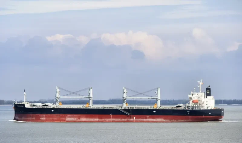 DESTINY Bulk Carrier IMO 9385491 photo 7