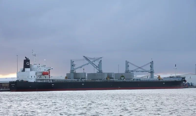 DESTINY Bulk Carrier IMO 9385491 photo 8