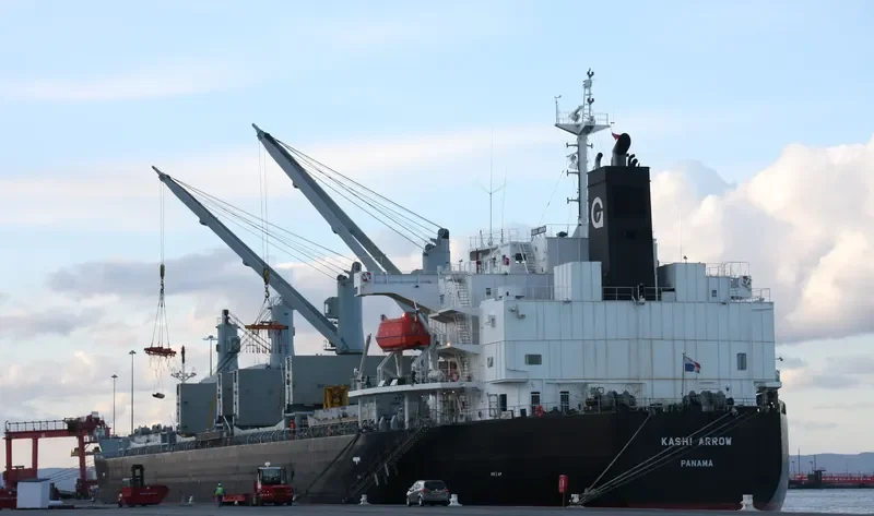 DESTINY Bulk Carrier IMO 9385491 photo 9