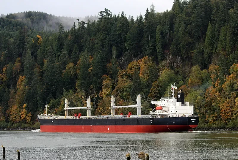 MOMI ARROW General Cargo IMO 9385506