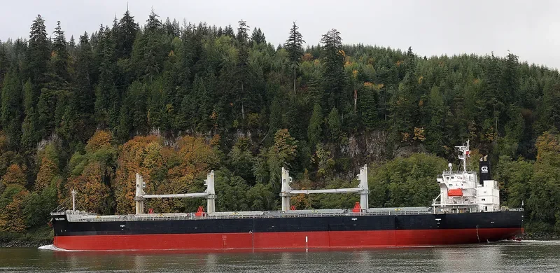 MOMI ARROW General Cargo IMO 9385506 photo 2